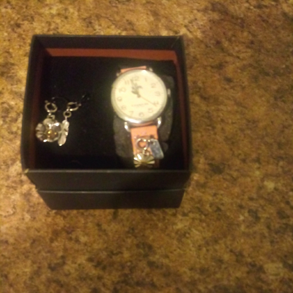 Coach watch